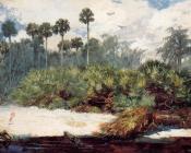 温斯洛 荷默 : In a Florida Jungle